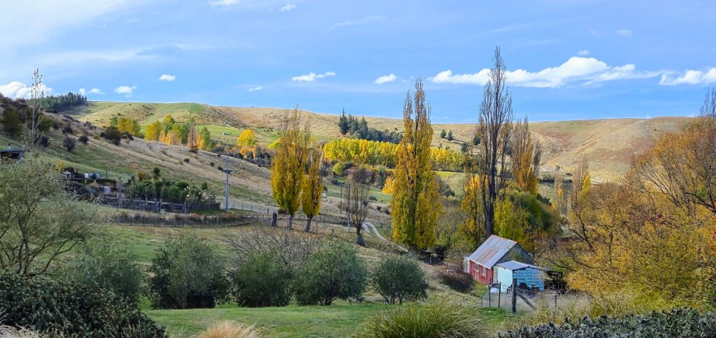 Digger Hire Clyde, Alexandra, Cromwell – Central Otago